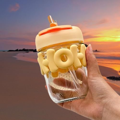 Reusable Glass Coffee Mugs with Lid and Straw pack of 2